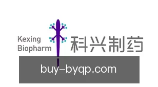 博雅棋牌